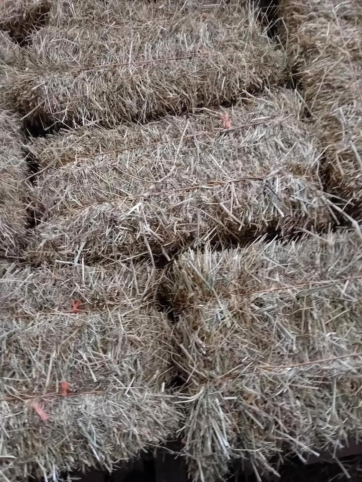 Hooi 1e en 2e snee, Dieren en Toebehoren, Dierenvoeding, Vee, Ophalen of Verzenden