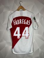 AS Monaco Thuis 2018/2019 Fabregas, Maat S, Ophalen of Verzenden, Zo goed als nieuw, Shirt