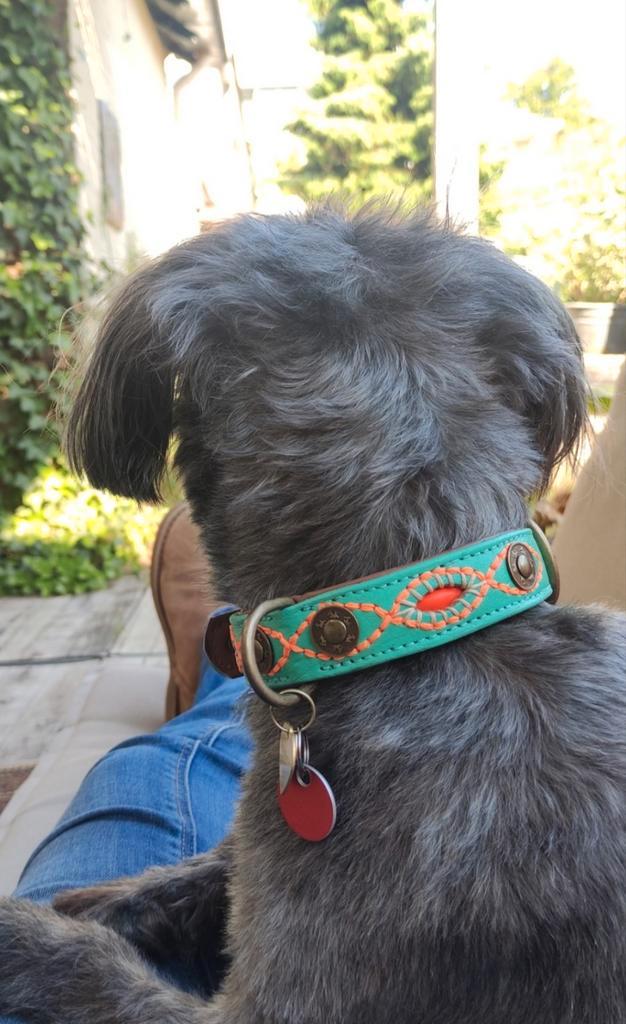 Halsband Ibiza Bohemian Dogs with a Mission Turquoise Oranje, Dieren en Toebehoren, Hondenhalsbanden en Penningen, Nieuw, Ophalen