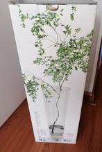 Vaas voor paastakken of andere hoge plant, Ophalen, Zo goed als nieuw, Glas, Minder dan 50 cm
