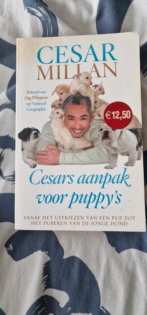Cesar Millan - Cesars aanpak voor puppy's, Boeken, Dieren en Huisdieren, Gelezen, Honden, Ophalen