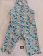 Hema Groen Tuinbroekje Pakje Overall Jumpsuit Boxpakje mt 74, Jongetje of Meisje, Ophalen of Verzenden, Zo goed als nieuw, Hema