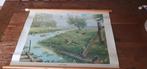 Vintage schoolkaart schoolplaat op rol in de weide ,Koekkoek, Antiek en Kunst, Antiek | Schoolplaten, Ophalen of Verzenden, Natuur en Biologie