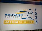 Veel stokpaarden te koop voor Molencaten Ruiterdag Hattem, Kinderen en Baby's, Ophalen