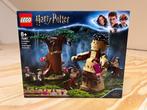 Lego 75967 Forbidden Forest: Umbridge's Encounter, Ophalen of Verzenden, Nieuw, Complete set, Lego