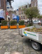 Plantenbakken op maat voor  horeca terras en tuin /dak, Tuin, Nieuw, Ophalen of Verzenden, 60 cm of meer