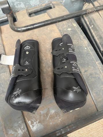 Veredus Absolute beschikbaar voor biedingen