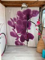 Gordijnen met Orchideeën Print met ophangbeugel, Gebruikt, 100 tot 150 cm, 200 cm of meer, Wit