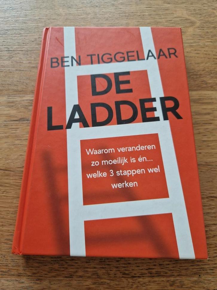 Ben tichelaar, de ladder, Boeken, Economie, Management en Marketing, Zo goed als nieuw, Management, Ophalen of Verzenden