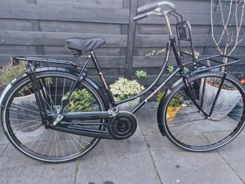 Pointer Glorie transport izgst beschikbaar voor biedingen