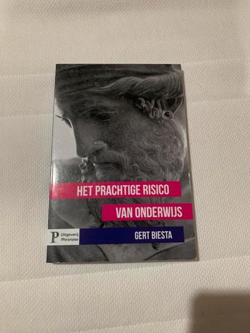 Gert J.J. Biesta - Het prachtige risico van onderwijs beschikbaar voor biedingen