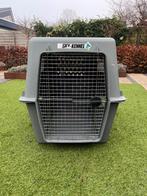 Honden Bench XXL (Weimaraner/Herder/Berner Sennenhond etc), Ophalen, Zo goed als nieuw