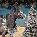 Tinker merrie te lease aangeboden, voor 2 a 3 dagen p.week, Dieren en Toebehoren, Paarden, Merrie, Recreatiepaard