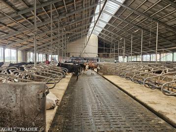 Stalinrichting Spinder Profitboxen boxbedekking beschikbaar voor biedingen