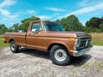 Ford F250 1973 impco lpg, Overige carrosserieën, Bruin, Particulier, 175 pk
