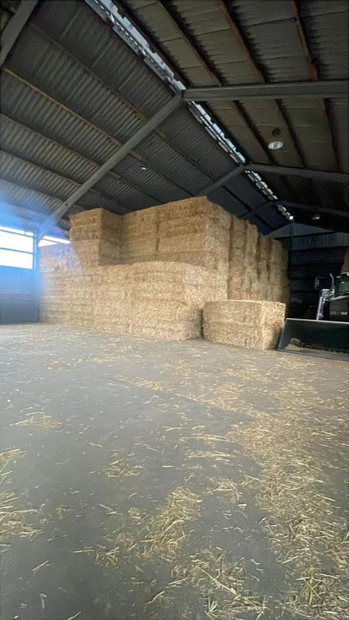 Hooi stro vlas, Dieren en Toebehoren, Dierenvoeding, Vee, Ophalen of Verzenden