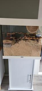 Terrarium knaagdier, Dieren en Toebehoren, Ophalen, 60 tot 90 cm, Minder dan 75 cm, Zo goed als nieuw