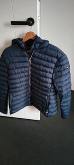 Tommy Hilfiger winterjas maat L, Kleding | Dames, Jassen | Winter, Ophalen of Verzenden, Zo goed als nieuw, Maat 46/48 (XL) of groter