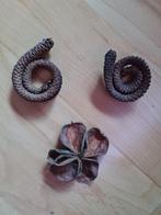 Te koop! Aquariumdecoratie / natuurlijke producten, Ophalen of Verzenden, Nieuw, Plant(en), Steen of Hout
