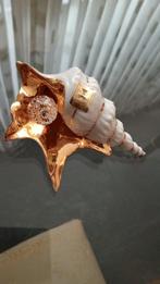 Capedimonte Schelp, Ophalen of Verzenden, Zo goed als nieuw, Overige typen