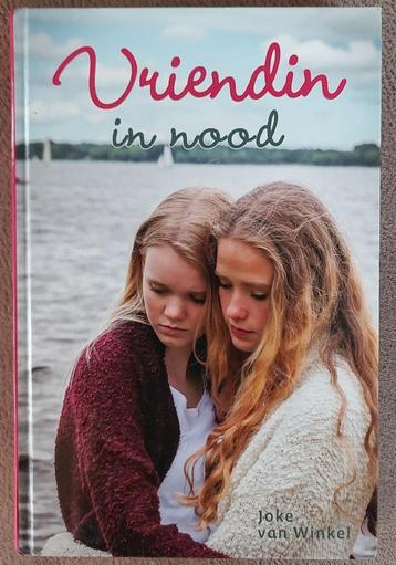 Joke van Winkel: Vriendin in nood (young adult)