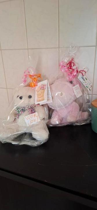 Gezocht: Knuffels voor actie "achterlatertjes"  beschikbaar voor biedingen