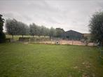 Heerlijke plek voor 1 paard/2 shets