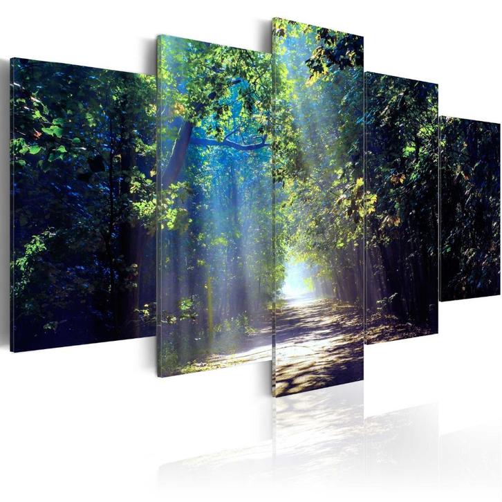 Bos Pad Zonlicht 5 Luik Schilderij 100x50cm, Antiek en Kunst, Kunst | Schilderijen | Klassiek, Ophalen of Verzenden
