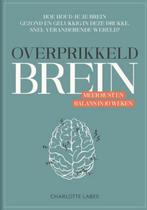 Overprikkeld brein, Charlotte Labee, Boeken, Charlotte Labee, Ophalen of Verzenden, Zo goed als nieuw, Overige onderwerpen