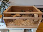 Te koop tof hamster  of knaagdier verblijf kooi, Kooi, Zo goed als nieuw, Hamster, 75 tot 110 cm