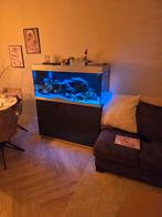 Oase highline 300, Dieren en Toebehoren, Vissen | Aquaria en Toebehoren, Ophalen