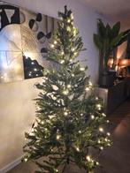 Kerstboom 1.90m met lampjes, Ophalen
