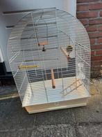 Grote vogelkooi met benodigdheden, Dieren en Toebehoren, Ophalen, Gebruikt, Metaal, Vogelkooi