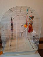 Te koop Grote compleet vogelkooi incl. toebehoren zie foto's, Dieren en Toebehoren, Ophalen, Gebruikt, Metaal, Vogelkooi