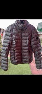 Airforce dames jas.Maat S., Airforce, Ophalen of Verzenden, Zo goed als nieuw, Maat 36 (S)