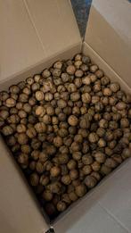 Walnoten van 2025:10kg, Diversen, Levensmiddelen, Ophalen of Verzenden