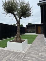 Stalen plantenbakken, Tuin en Terras, Bloembakken en Plantenbakken, 100 cm of meer, Nieuw, Metaal, Overige vormen