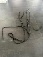 Dier, Ophalen of Verzenden, Zo goed als nieuw, Overige soorten