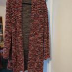 Lang vest maat 46, Ophalen of Verzenden, Zo goed als nieuw, Trui of Vest