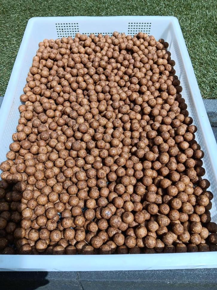 peach krill premium boilies, Watersport en Boten, Hengelsport | Karpervissen, Nieuw, Overige typen, Ophalen of Verzenden