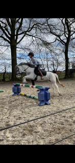 paardenmest gratis!!!!, Tuin en Terras, Aarde en Mest, Ophalen