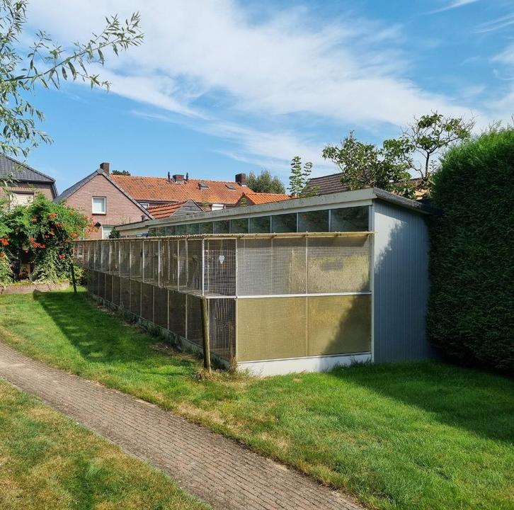 voliere, Dieren en Toebehoren, Vogels | Hokken en Kooien, Gebruikt, Volière, Aluminium, Ophalen