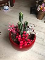 Rode plantenbak, Ophalen, Zo goed als nieuw