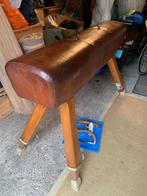 Turnpaard gymbok leer., Ophalen of Verzenden, Zo goed als nieuw