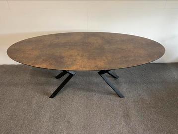 Ovale eettafel roest print HPL 200x100 beschikbaar voor biedingen