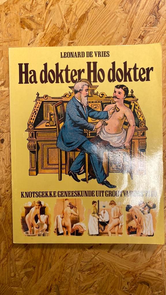 Ha dokter, ho dokter, Leinard de Vries 1974, Boeken, Overige Boeken, Gelezen, Ophalen of Verzenden