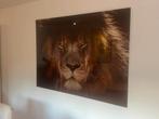 Glazen schilderij Leeuw, Huis en Inrichting, Woonaccessoires | Schilderijen, Tekeningen en Foto's, Ophalen, 125 cm of meer, Zo goed als nieuw