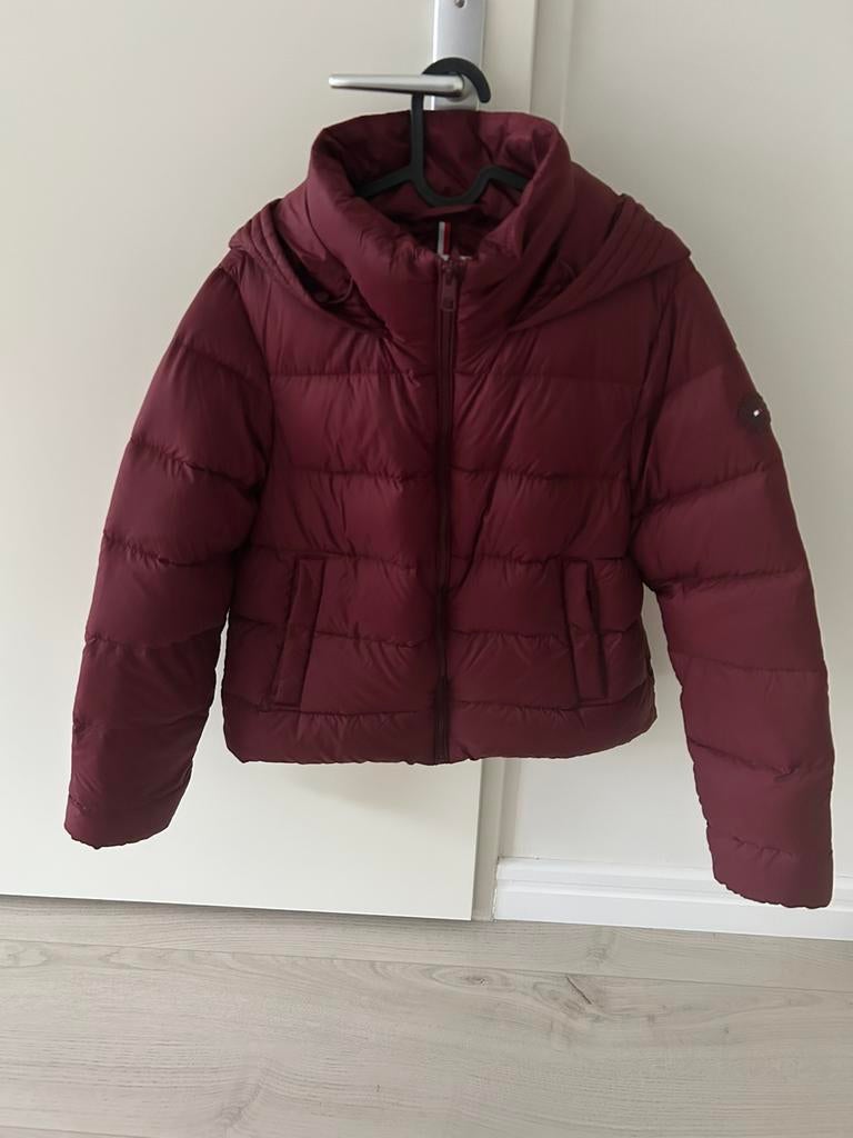Winterjas Tommy Hilfiger, Ophalen of Verzenden, Nieuw, Maat 38/40 (M), Rood