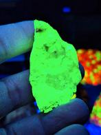 WILLEMIET/SFALERIET, ZWEDEN!, Ophalen of Verzenden