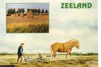 Ansichtkaart	Zeeland	Ploegende boer	Paard	2-luik, Verzenden, 1980 tot heden, Ongelopen, Zeeland